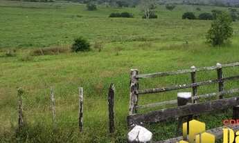 Imagem 7: FAZENDA RURAL em POJUCA - BA, centro
