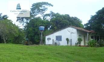 Imagem 7: Fazenda para Venda em Interior Poconé-MT