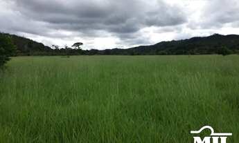 Imagem 7: Fazenda em Confresa-MT. > 505 Alq. (2.444 Há