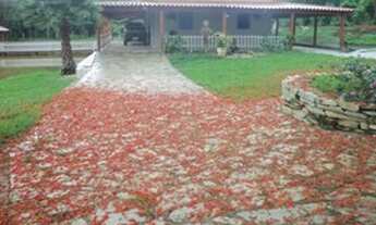 Imagem 4: Fazenda/Sítio/Chácara para venda tem 999 metros quadrados com 6 quartos