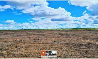 Imagem 4: FAZENDA DE 6000 T ITAPICURU