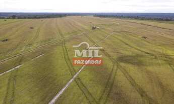 Imagem 6: Fazenda em Lizarda-TO. > 358 Alq. (1.732 Há). p/ Lavoura