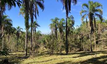 Imagem 3: Vende-se Fazenda de 16.72 alqueires em Trindade-GO