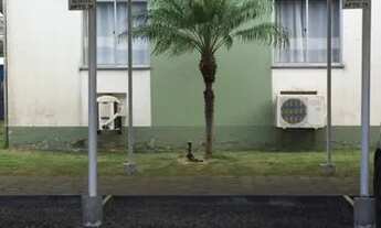 Imagem 5: Vendo Apartamento com 2 dormitórios