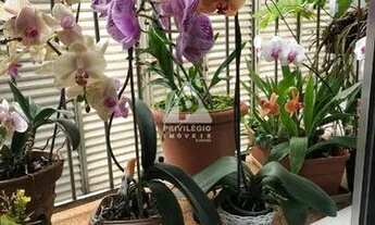 Imagem 4: 3 quartos no Méier - RJ