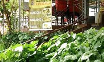 Imagem: Vende-se Restaurante