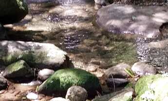 Imagem 2: Vendo ou alugo casa linear. Dentro Condomínio Solar de Itacuruçá