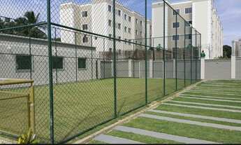 Imagem 6: Alugo Apartamento Sun Palace