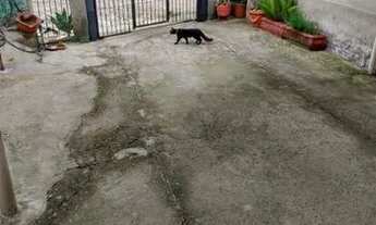 Imagem 2: Casa Casa com 3 dormitórios