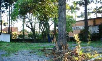 Imagem 7: Terreno no Centro de Canela!