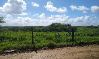 Imagem 3: Fazenda/Sítio Fazenda / sítio com venda por R$300.000