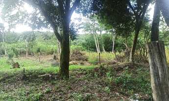 Imagem 4: TERRENO «chácara» (LEIA O ANUNCIO