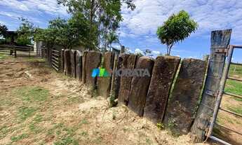 Imagem 6: CURVELO - Fazenda - Zona Rural