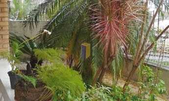 Imagem 6: CASA JD SÃO PAULO - CA2516