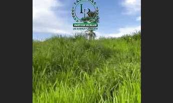 Imagem 7: Fazenda / chácara 10 Alqueires Dupla Aptidão