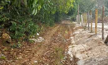 Imagem 6: Vendo maravilhoso sitio, 125m x 100m, ramal do pau rosa, Am