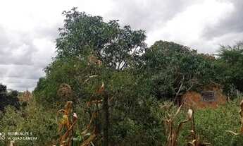 Imagem 3: CHÁCARA NA MATINHA - 1,5 TAREFAS