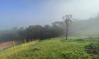 Imagem 5: Lote à Venda  Bairro Papa Milho, 1.040 m²