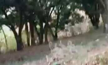 Imagem 3: Grande terrenos construção urbanos no centro de Anápolis e condomínio San flower