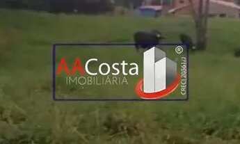 Imagem 4: Terreno para venda - ZONA RURAL em Rifaina - SP