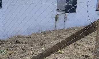 Imagem 2: TERRENO 500m² no Tingui