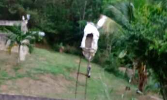 Imagem 4: Ótimo Terreno de 450 m2 no Engenho do Mato