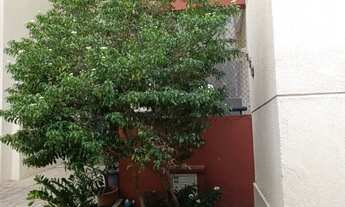 Imagem 6: Aluguel bairro Ininga