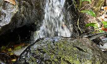 Imagem 2: Chácara com piscina escriturada