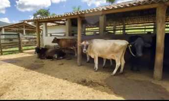 Imagem: Fazenda/Fazendinha/Sítio 12 Hectares, 120.000m2