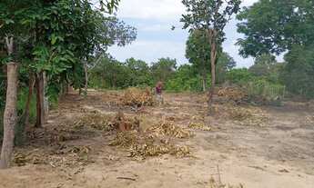 Imagem: Chácara 1200m quadrados. 30 por 44