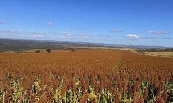 Imagem 2: Fazenda de 654 hectares