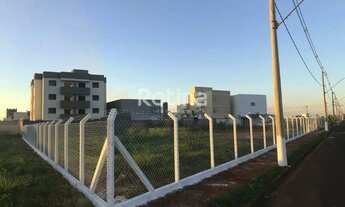 Imagem 2: Galpão à venda, Novo Mundo - Uberlândia/MG - Rotina Imobiliária