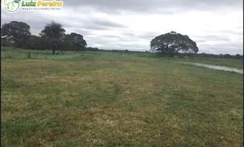 Imagem: FAZENDA À VENDA EM POCONE MT 39.368 HECTARES