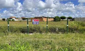 Imagem 2: Barra de São Miguel/AL - terrenos beira de pista