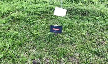 Imagem 5: Terreno à venda nos Ingleses do Rio Vermelho