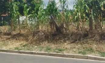 Imagem 6: Venda: Terreno No Bairro Jd. Majestic Na Reg. Leste De s.j.c