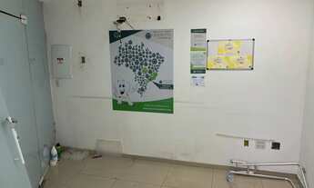 Imagem 3: ALUGO LOJA NO LARGO DO PECHINCHA