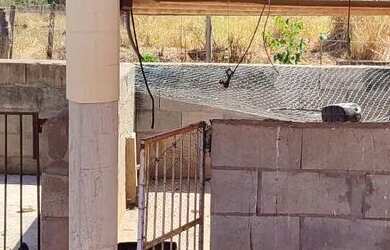 Imagem 4: Chácara em Varjão