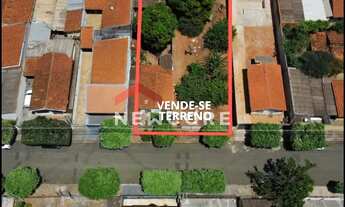 Imagem: Lote em Rua Palestina - Eldorado - São