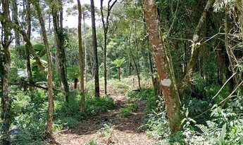Imagem 6: Vendo chácara 7.200 metros no Campo Largo da Roseira