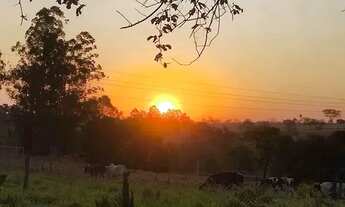 Imagem: Terreno com fácil acesso ao asfalto