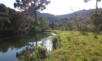 Imagem 5: Sitio 1.5 hectare com lago, pertinho de Gramado