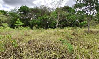 Imagem 2: TERRENO RURAL 5.264 m² - / ANTÔNIO OLINTO - MONTES CLAROS MG