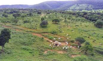 Imagem 5: FAZENDA À VENDA - 18 ALQUEIRES (NIQUELÂNDIA