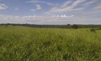 Imagem: Sítio a venda com 31 alqueires