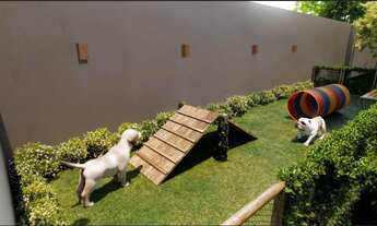 Imagem 4: VIVAR OLINDA Apartamento com 2 dormitórios