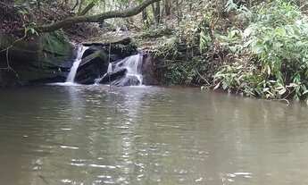 Imagem 2: Chácara dos Sonhos - 3.000 metros em Cristianópolis GO