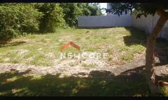 Imagem 7: Lote em Rua Rosário - Carimã - Foz do Iguaçu/PR