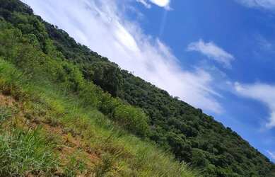 Imagem 5: Lotes com Grande Potencial para Renda e Locação em Ibiúna