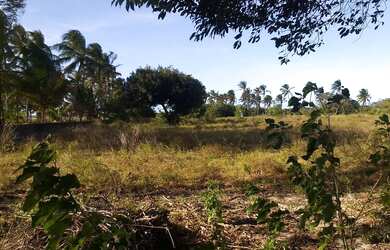 Imagem 2: Terreno próximo à praia da baleia Ceará, vila dos pracianos, terreno com água